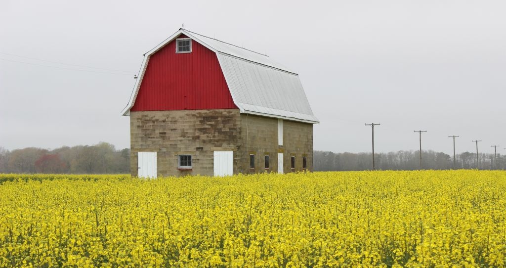 Duane-Loveland_Brecks-Mil-on-Brandywine